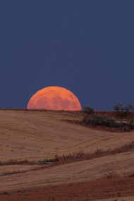 The moon rising behind the horizon bringing reflection and stillness