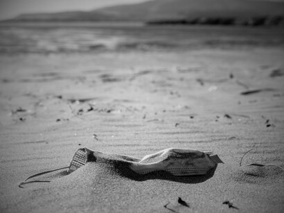 The cost of popularity: littered sands where sea life once thrived