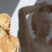 Aron Demetz. Memoridermata