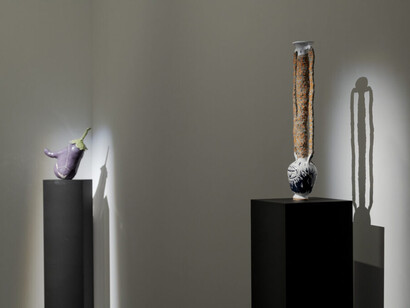 Pascale Giorgi, Worst hits, exhibition view. Courtesy of Goolugatup Heathcote