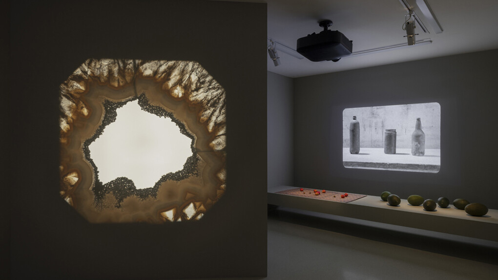 Francisco Tropa, Paésine, exhibition view. Courtesy of Nouveau Musée National de Monaco