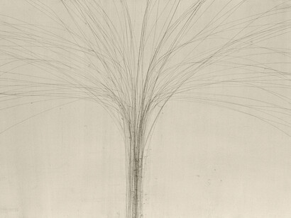 Antony Gormley, Phloem II
