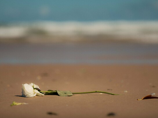 Uma rosa branca repousa sobre a areia diante do mar, imagem que evoca a delicadeza daquilo que permanece depois da perda. O luto não apaga o vínculo com o que se foi, mas abre um processo de transformação e reconstrução. Entre a ausência e a reconstrução, o luto exige que o sujeito encontre uma nova forma de sustentar aquilo que perdeu. Algumas perdas não pedem esquecimento, mas tempo para que aquilo que permanece encontre um novo lugar