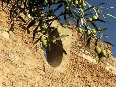 Armonie d'Arte Festival