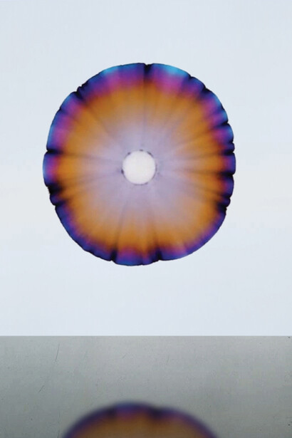 Troika, Time only exists so not everything happens at once, 2014, Video projection 3:25min, image Courtesy of the Artist and Hanmi Gallery