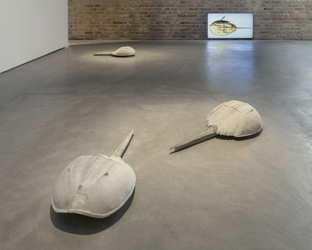 400 Million Years, Exhibition view. Courtesy of König Galerie