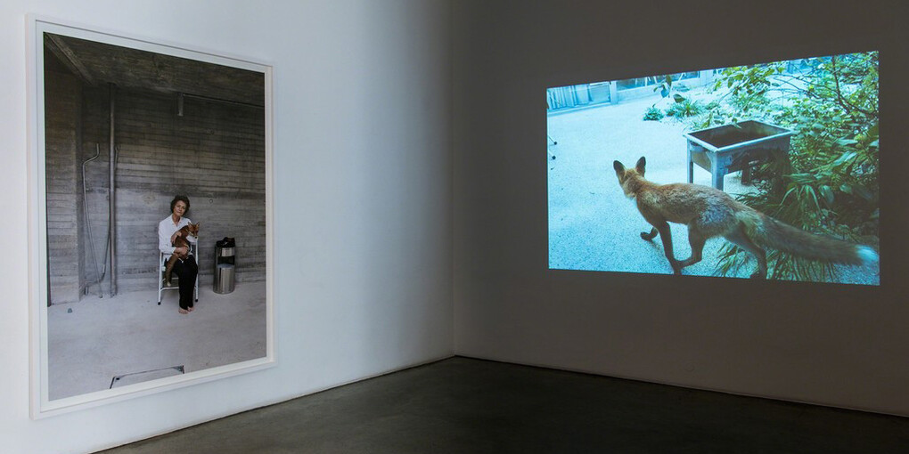 Juergen Teller. Courtesy of Christine König Galerie