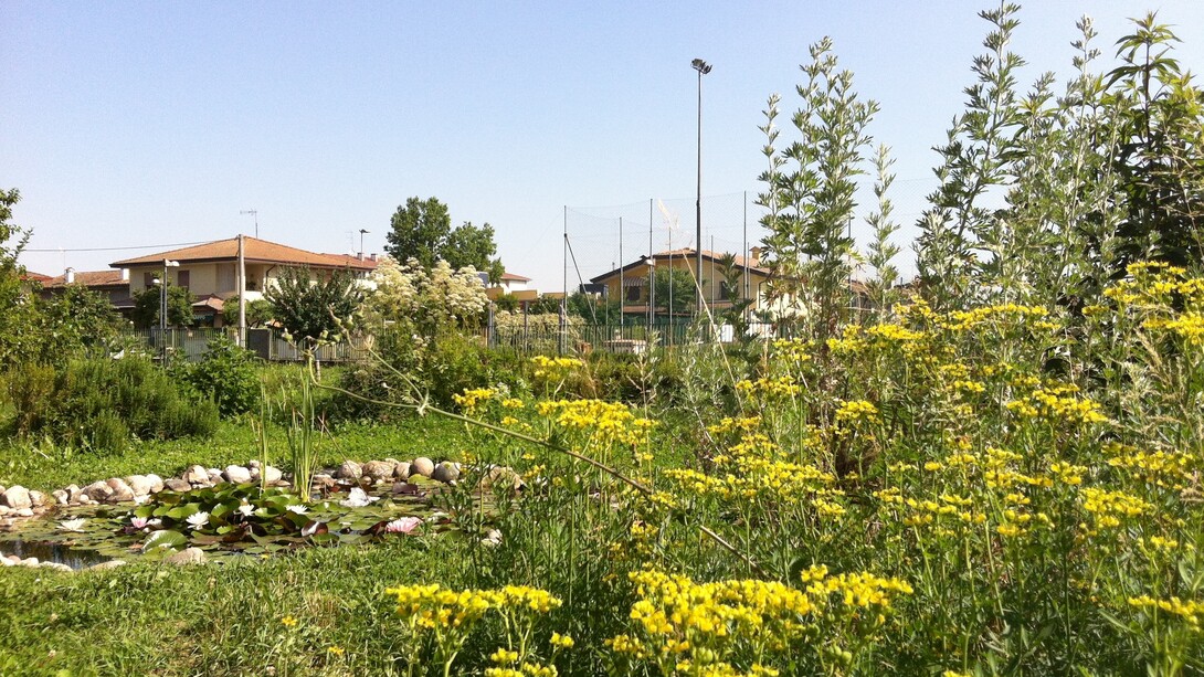 Orto didattico aromatico realizzato ad Abano Terme