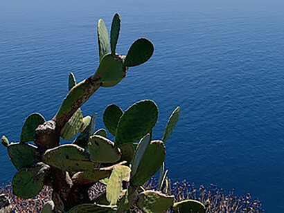 Camminare nella natura è rigenerante, foto Claudia Zanfi