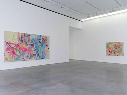 Installation Views. Courtesy 303 Gallery, New York