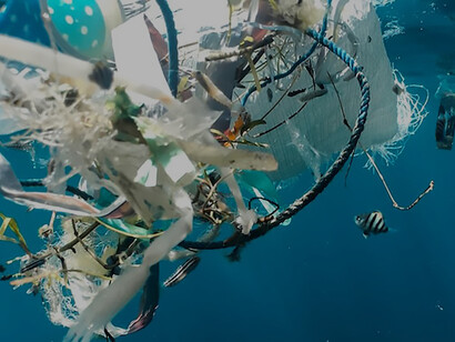 Amidst the Indonesian waters, a cluster of debris drifts in the ocean, illustrating the pressing problem of plastic pollution and its effects on young fish