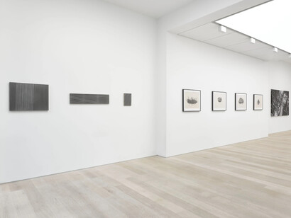 Protest and Remembrance. Courtesy of Alan Cristea Gallery