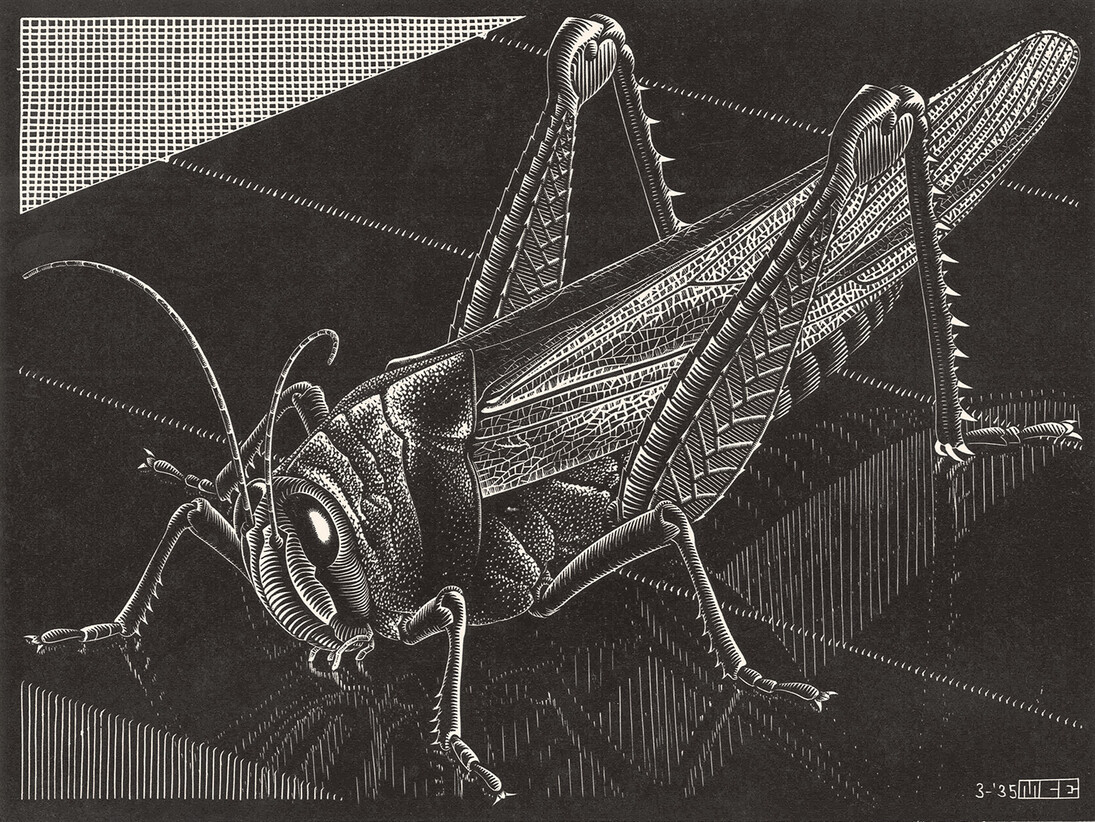 Maurits Cornelis Escher, Grasshopper, March 1935, Xilography, 18,10 x 31,60 cm, Collezione Giudiceandrea Federico All M.C. Escher works © 2015 The M.C. Escher Company. All rights reserved
