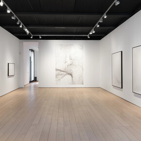 Pablo Dávila, Why did you take my watch, exhibition view. Courtesy of Kasmin Gallery