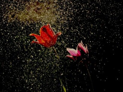 O que não é Golden Shower