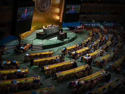 Asamblea General de la Organización de Naciones Unidas (ONU)
