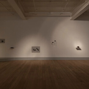 Amol K Patil, The shadow of lustre, ausstellungsansicht. Mit freundlicher genehmigung der Galerie Peter Kilchmann