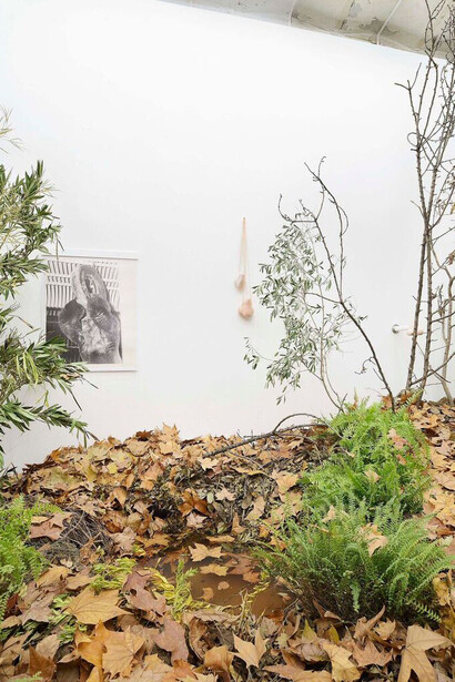 Ho Ho Ho, 2017, Installation View at Frutta, Rome