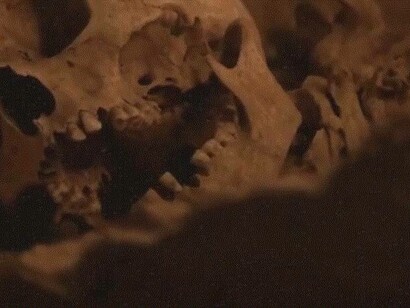 Crani ritrovati in grotte preistoriche: "Ciò suggerisce che le varie popolazioni avessero strategie simili anche nel procurarsi il cibo e nella sua gestione"