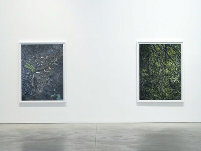 Stephen Shore. Courtesy of 303 Gallery