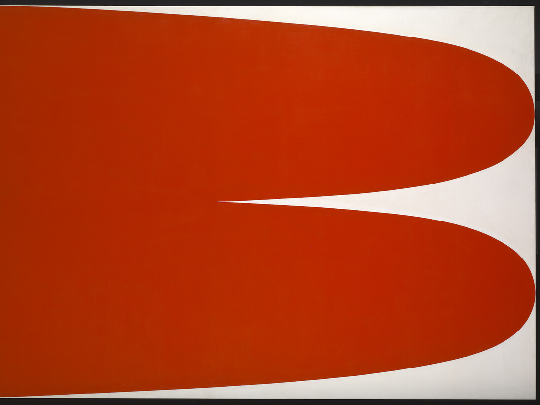 Ellsworth Kelly. In Focus. Courtesy of Tate Liverpool