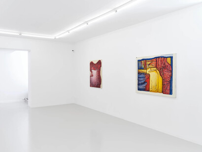 Kirsten Thorup, Kroppens landskap, exhibition view. Courtesy of Belenius Gallery
