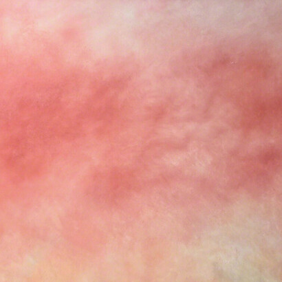 Julie Hedrick. Courtesy of Nohra Haime Gallery