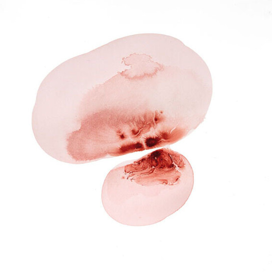 Federica Rossi, dalla serie The living cell, 2017, inchiostro su carta, cm. 45x45.