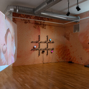 Tromarama, Auto ally, exhibition view. Courtesy of Document Gallery