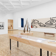 Laura Anderson Barbata and Sheroanawe Hakihiiwe, Wayamou: common tongues, exhibition view. Courtesy of Museo Tamayo