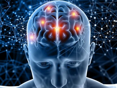 We have neurons not just in the brain in our skull, but also in our gut