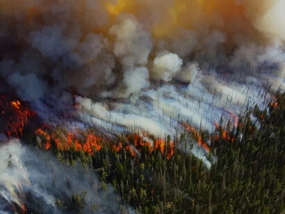 Incendio en California, EE. UU., 2019