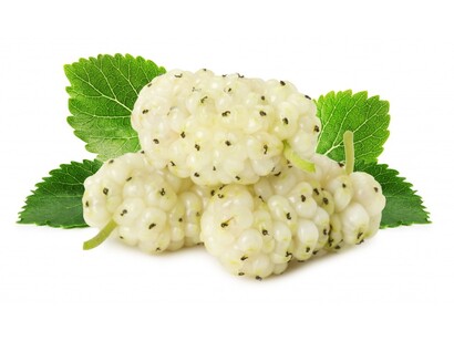 I frutti del gelso sono simili a more allungate e ricchi di vitamine
