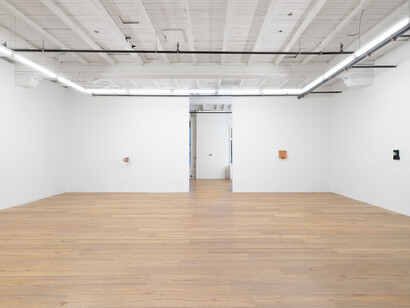 Sula Bermudez-Silverman, Mole, mold, molt, exhibition view. Courtesy of Hannah Hoffman Gallery