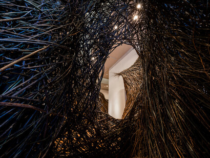 Patrick Dougherty. Courtesy of BYU Museum of Art