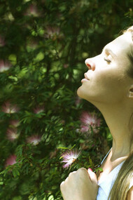 Peace, serenity, tranquility, CBD oil can benefit greatly on one's journey to living a happy life of good health and abundance