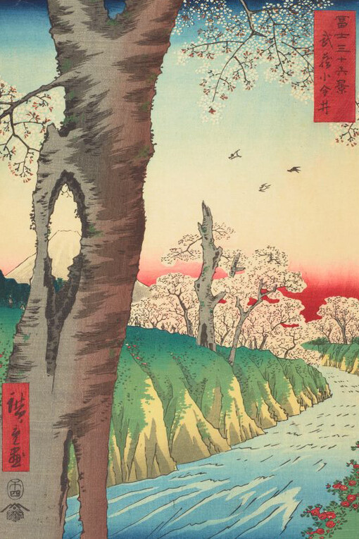 Hiroshige Andō/Utagawa, Koganei in Musashi Province (Musashi koganei), 1858. Courtesy of the Art Gallery of New South Wales