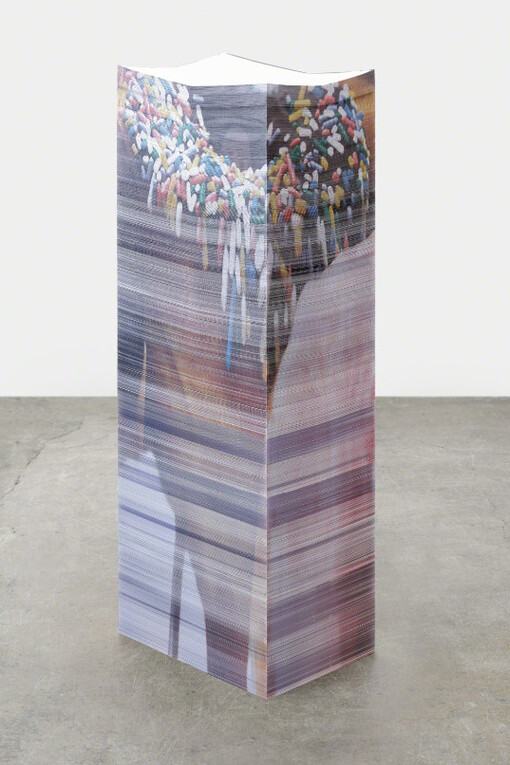 Biomorphic Virtuosity. Courtesy of Jessica Silverman Gallery