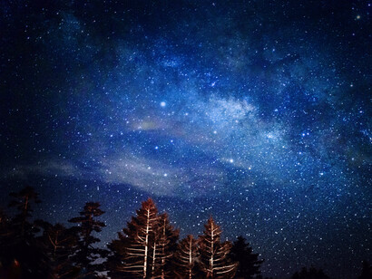 Cielo estrellado por la noche sobre unos árboles