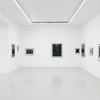 Maximilian Prüfer, Nebenlinien – 15 Jahre Naturantypie, ausstellungsansicht. Mit freundlicher genehmigung der Galerie Kandlhofer