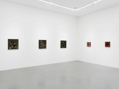 View of Gabriel de la Mora's exhibition Élan Vital
at Perrotin Paris, 2024. Photo: Claire Dorn. 
©Gabriel de la Mora/ADAGP, Paris, 2024. 
Courtesy of the artist and Perrotin