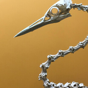 Bone Hall. Courtesy of Smithsonian's National Museum of Natural History