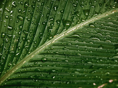 Nos vamos formando en formas, configurándonos en densidad