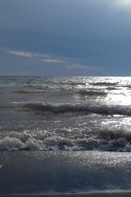 Igor Borozan è un artista poliedrico che esplora l'anima umana incarnando l'arte come esperienza multisensoriale: una fusion virtuosa tra pittura, scultura, performance e natura