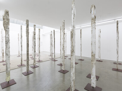 Installation view of Jodie Carey's exhibition. Stand, 2017 Plaster, steel, earth, paint and colouring pencil. Dimensions Variable. Copyright Will Amlot. Courtesy Edel Assanti.