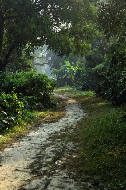 Las metas se multiplican y se mueven, generando la sensación de estar siempre cerca, pero nunca verdaderamente en llegada