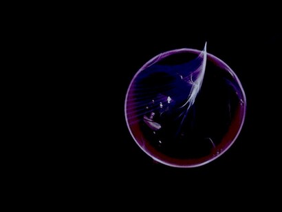 La Inteligencia Artificial será más pronto que tarde el tema de nuestro siglo