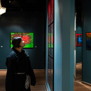 Phattharakorn Singthong, Fields of conditions, exhibition view. Courtesy of Number 1 Gallery