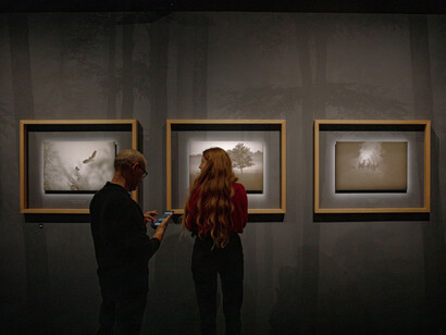 En forêt avec Vincent Munier, vue d'exposition. Avec l'aimable autorisation du Musée des Confluences