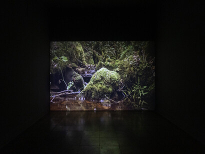 Luz María Bedoya, Otras partituras del agua, vista de exhibición. Cortesía de proyectoamil